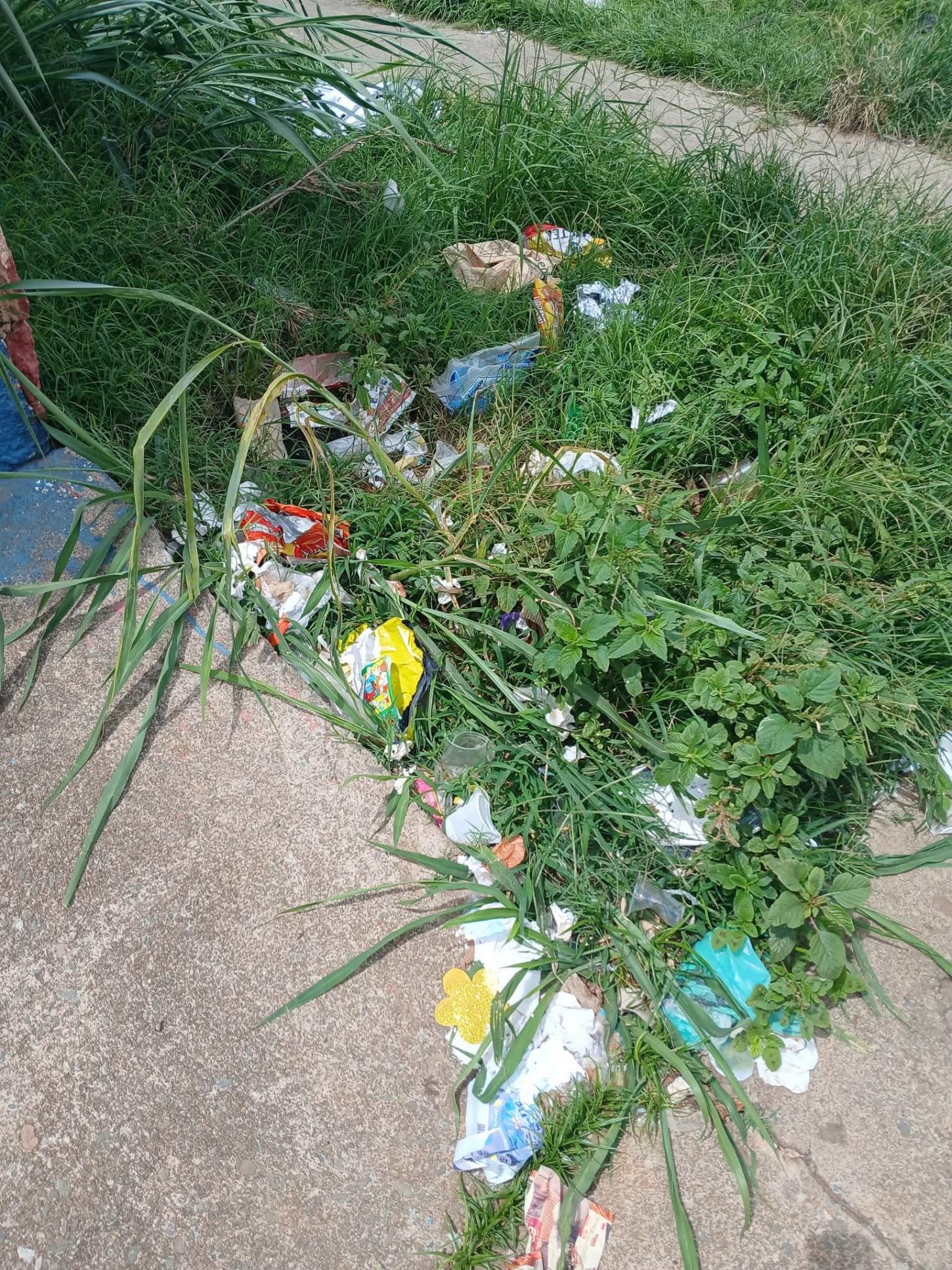 O descaso com a limpeza urbana em Ceilândia: cadê o GDF?